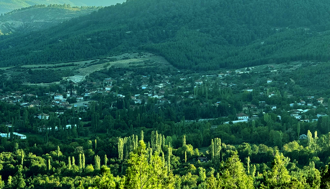 Koyumuzdan bir kare